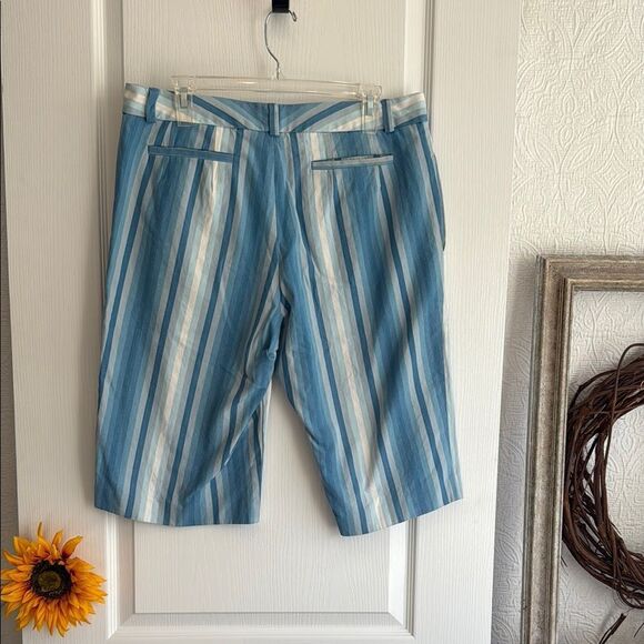 Trina Turk Blue and White Striped Men's Shorts - 32 - Excellent Condition - Picture 1 of 4